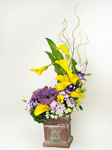 Florist Flower Arrangement - Ancient Beauty - P1698 Photo