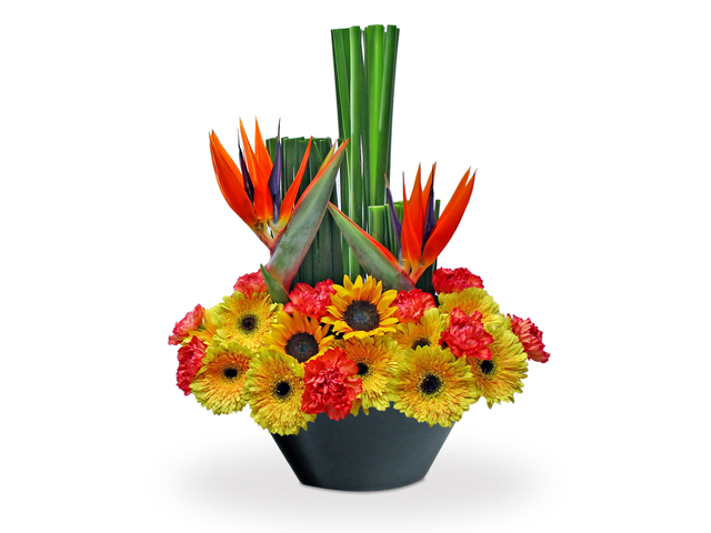 Florist Flower Arrangement - Bird of Paradise  Florist vase Decor G1 - L3153989 Photo