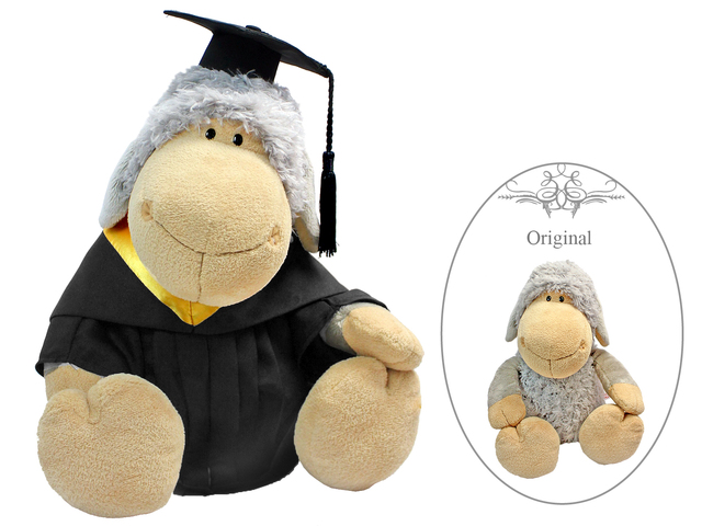 Florist Gift - Nici Graduation Doll - Grey Sheep  - L177693 Photo