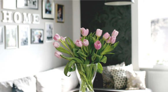 Flower in Vase